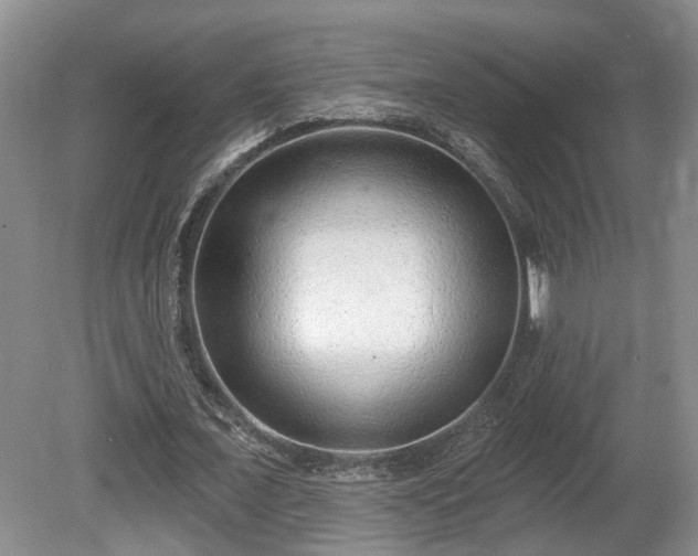 X0000080720675200612221228