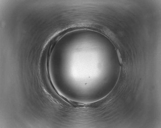 X0000080720676200612221228