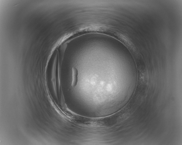 X0000080720678200612221228