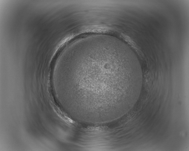 X0000080720679200612221228