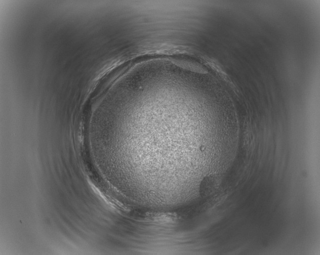 X0000080720683200612221228