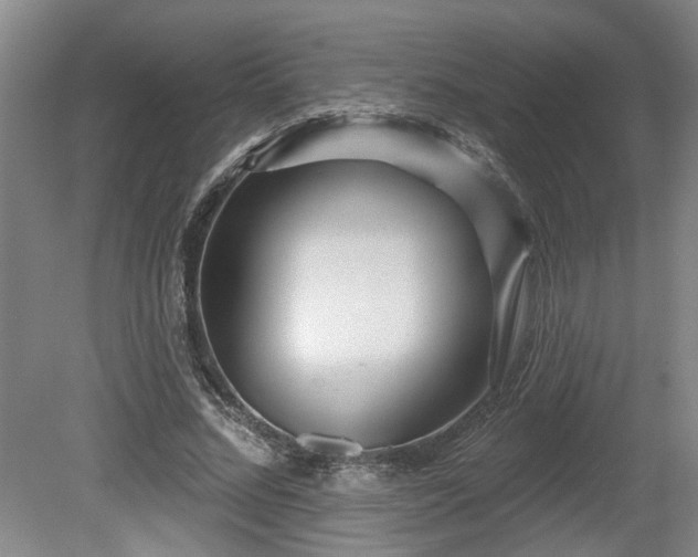 X0000080720684200612221227