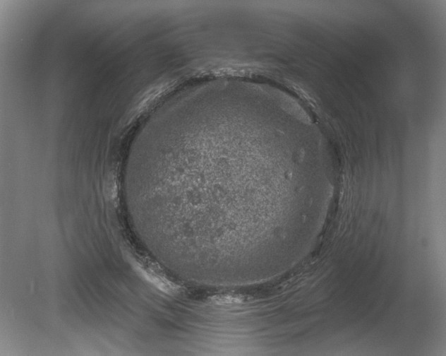 X0000080720687200612221227