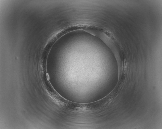 X0000080720688200612221227