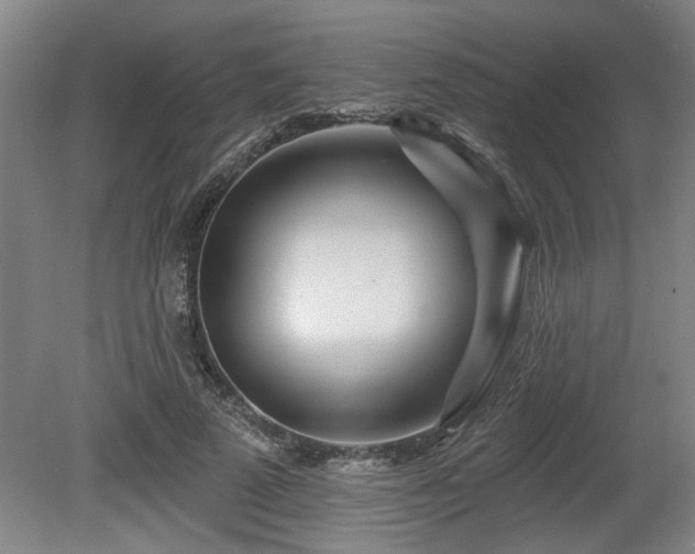 X0000080720689200612221227