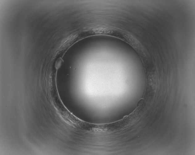 X0000080720690200612221227