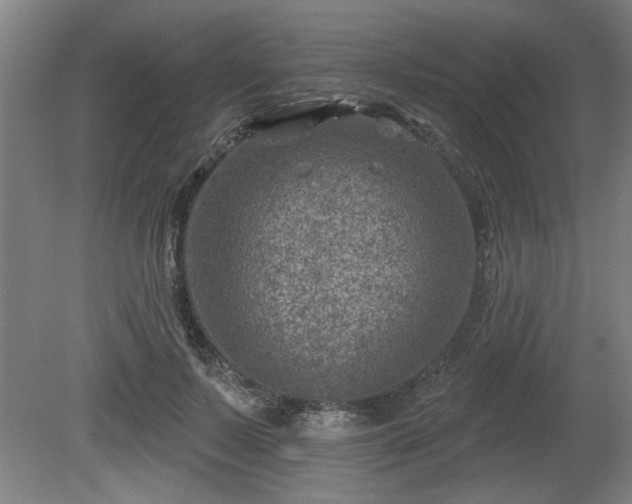 X0000080720695200612221227