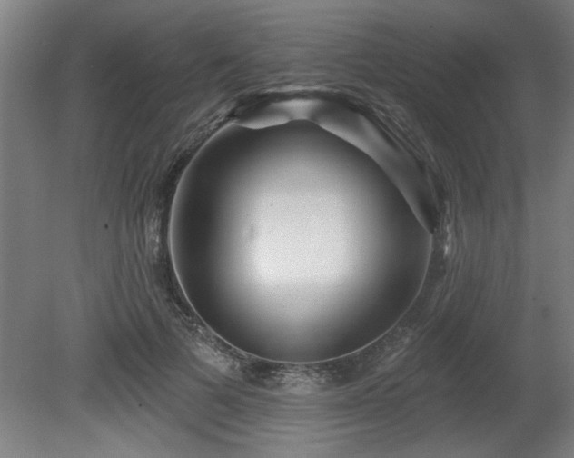 X0000080720697200612221227