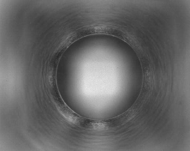 X0000080720698200612221227