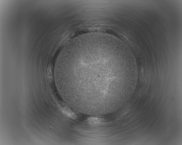 X0000080720699200612221227