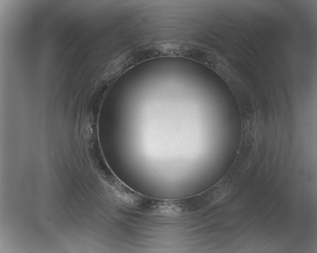 X0000080720702200612221227