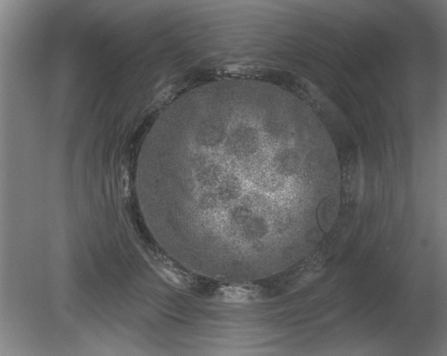 X0000080720703200612221227