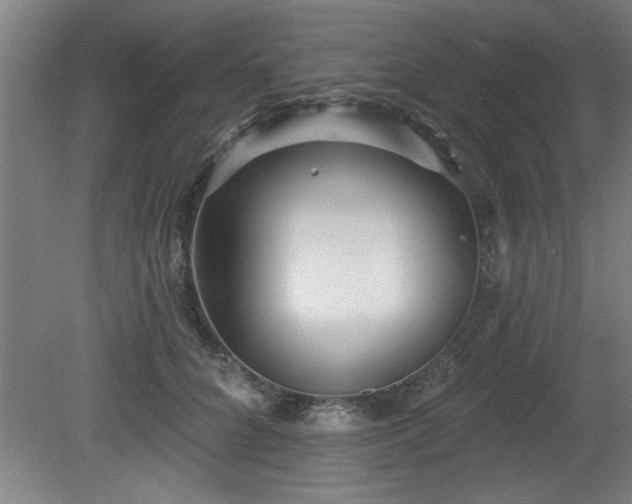 X0000080720704200612221227