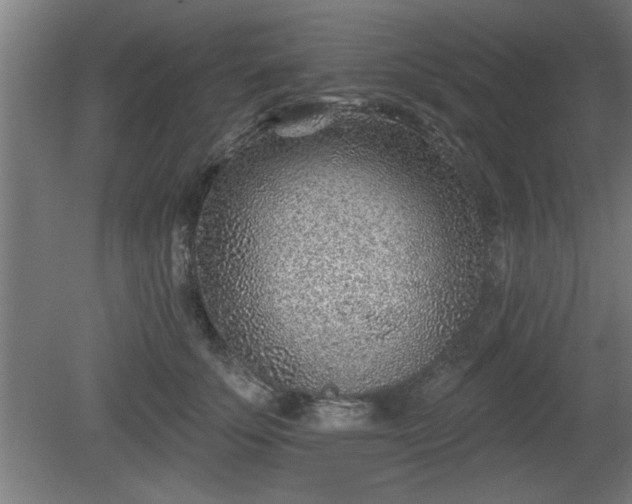 X0000080720707200612221227