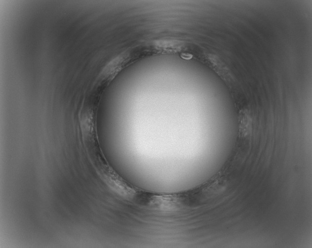 X0000080720713200612221227