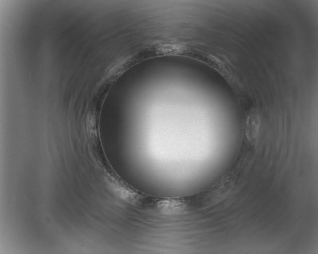 X0000080720714200612221227