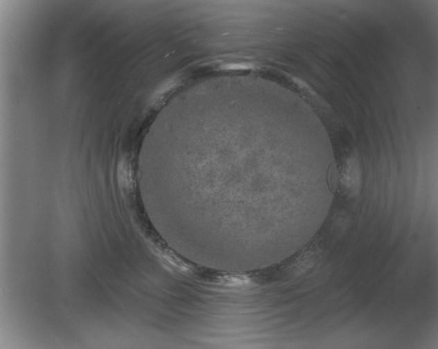 X0000080720715200612221227