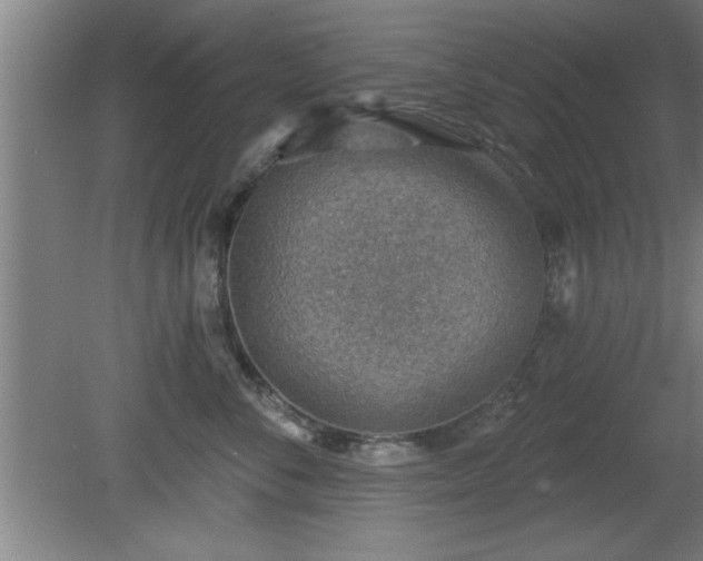 X0000080720716200612221227