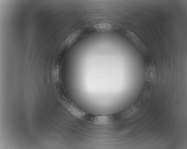 X0000080720717200612221227