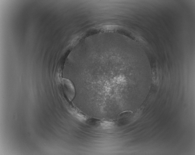 X0000080720718200612221227