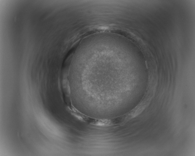 X0000080720720200612221227