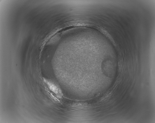 X0000080720721200612221226