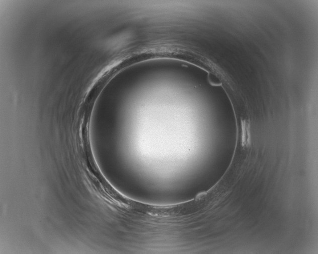 X0000080720723200612221226