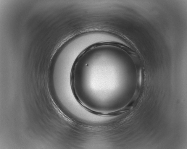 X0000080720725200612221226