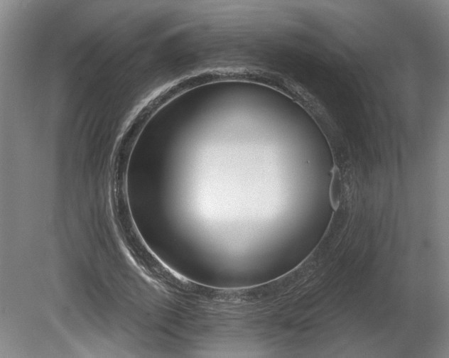 X0000080720728200612221226