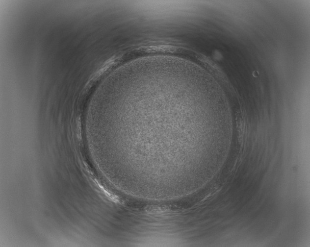 X0000080720729200612221226