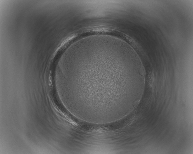 X0000080720731200612221226