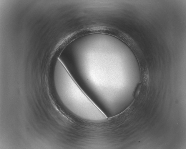 X0000080720732200612221226