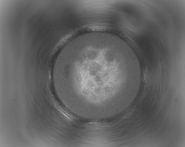 X0000080720733200612221226