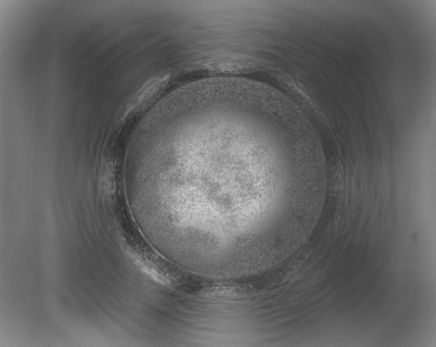 X0000080720738200612221226