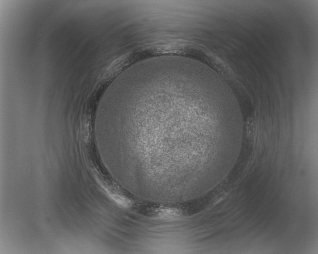 X0000080720741200612221226