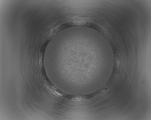 X0000080720745200612221226