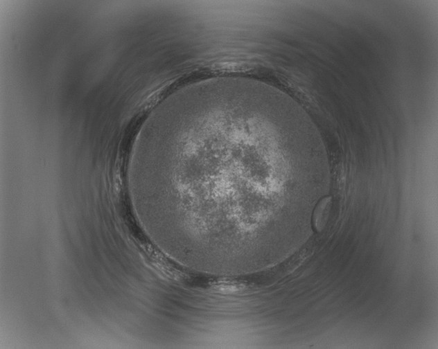 X0000080720746200612221227