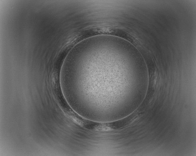 X0000080720747200612221227