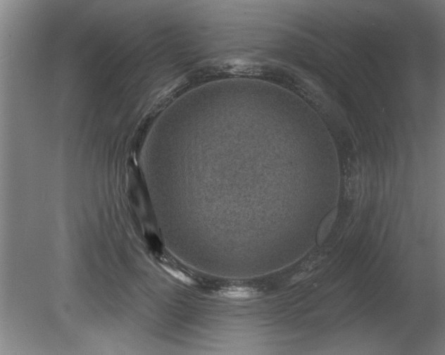 X0000080720748200612221227