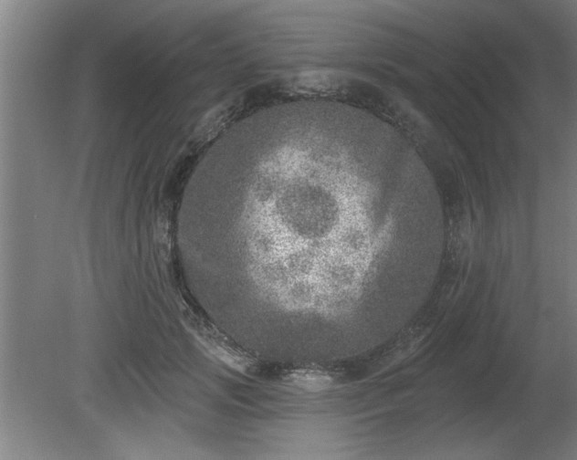 X0000080720749200612221227