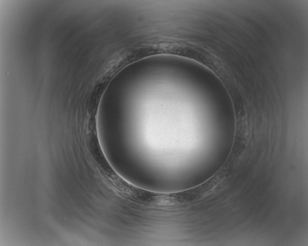 X0000080720750200612221227