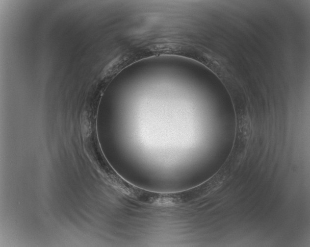 X0000080720751200612221227