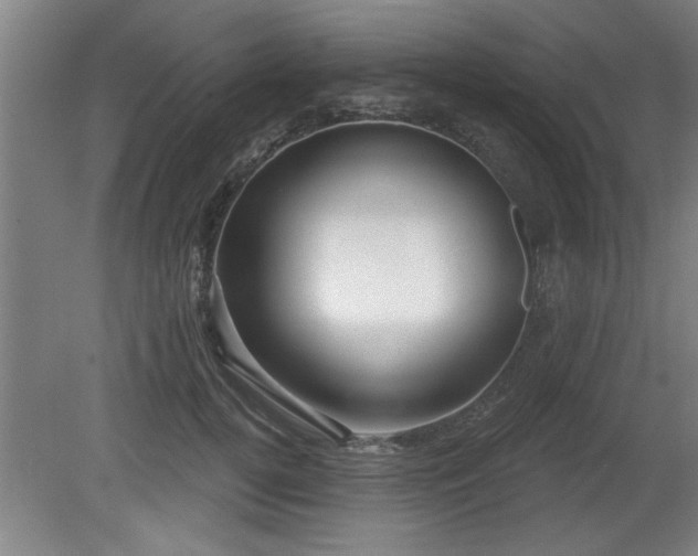 X0000080720752200612221227