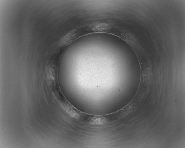 X0000080720755200612221227