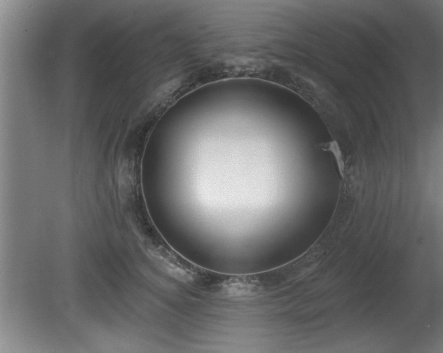 X0000080720756200612221227