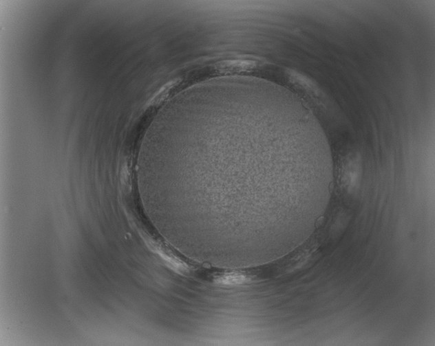 X0000080720759200612221227