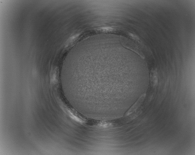 X0000080720760200612221227