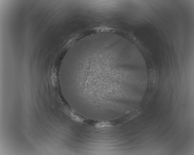 X0000080720761200612221227