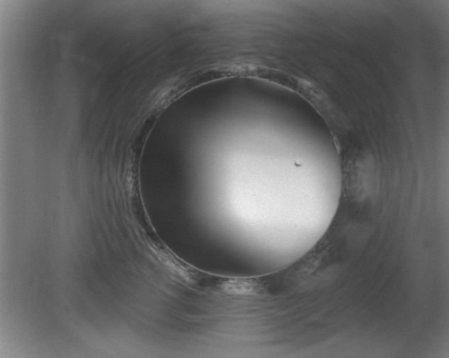 X0000080720762200612221227