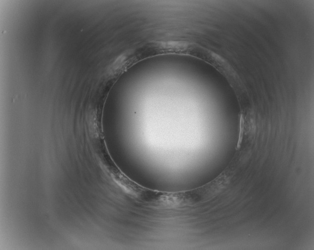 X0000080720764200612221227